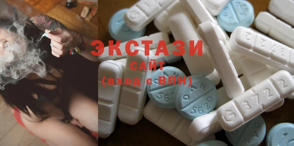 гашик Новозыбков