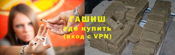 гашик Новозыбков