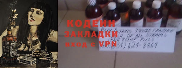 гашик Новозыбков
