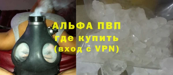 гашик Новозыбков