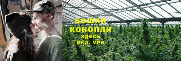 сатива Семилуки